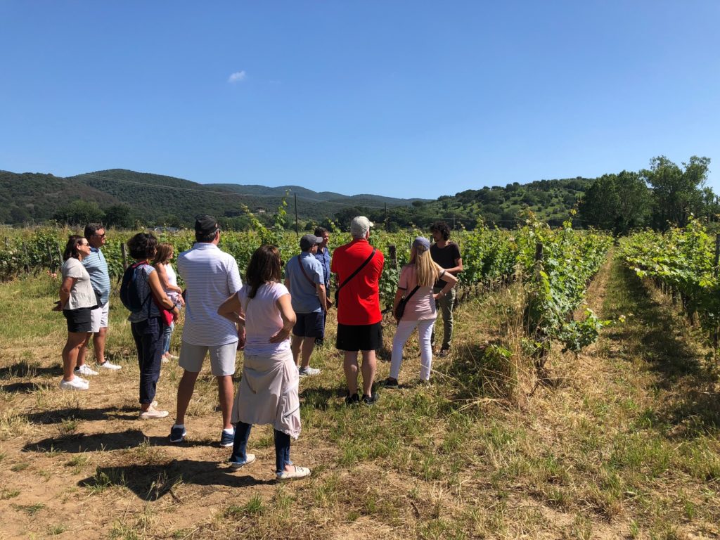 Tuscany wine